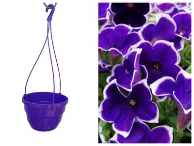 Підвісне кашпо для квітів 3,7л фіолетове 160004 фото